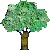 _tree1.jpg