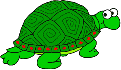 turtle.gif